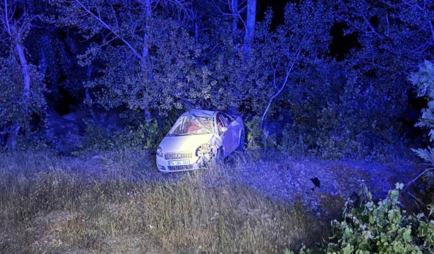 Tunceli'de şarampole devrilen otomobilin sürücüsü yaralandı