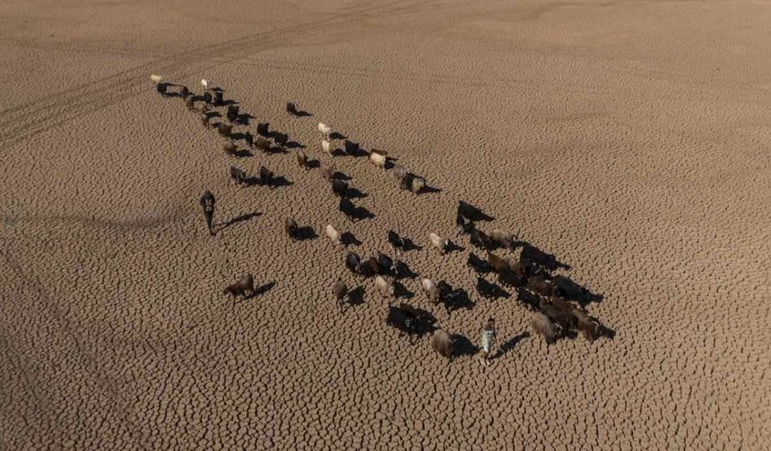 Mardin Mazıdağı’nda bulunan gölet tamamen kurudu