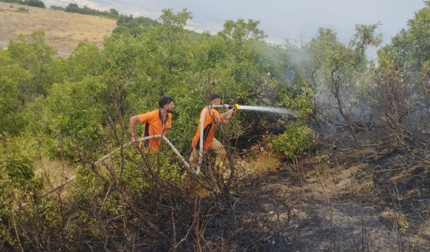 Bingöl'de ormanlık alanlarda çıkan yangın söndürüldü