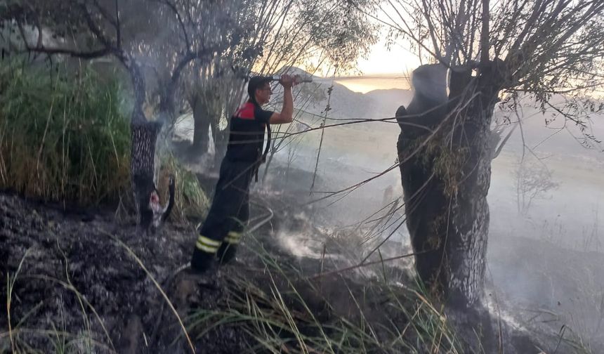 Burdur'da traktörde çıktıktan sonra ağaçlık alana sıçrayan yangın söndürüldü