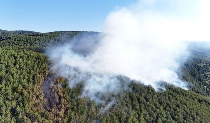 Çankırı'da yangın önlemleri artırıldı