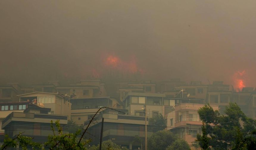 Aydın'ın Germencik ilçesinde çıkan orman yangını ekiplerce kontrol altına alındı