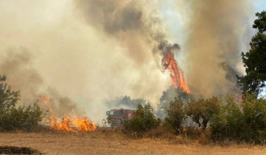Isparta'da ormanlık alanda çıkan yangın kontrol altına alındı