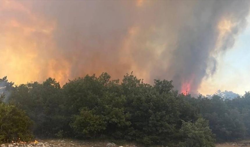 Antalya'nın Kaş ilçesinde çıkan orman yangını ekiplerce kontrol altına alındı