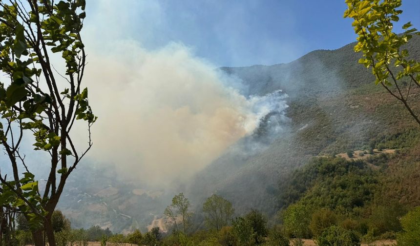 Bartın'da ormanlık alanda çıkan yangına müdahale ediliyor