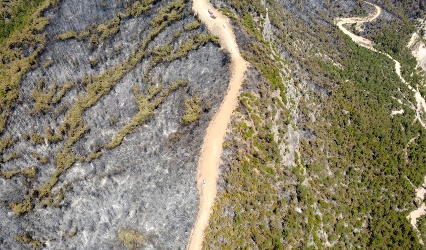 Karabük'te yanan ormanlık alan havadan görüntülendi