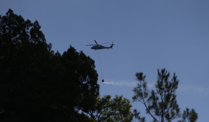 Sinop'ta çıkan orman yangınına müdahale ediliyor