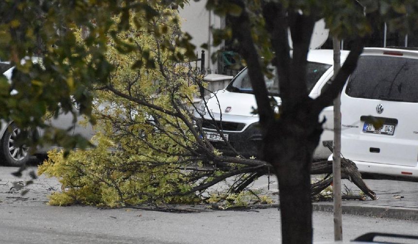 Konya'da şiddetli rüzgar hayatı olumsuz etkiledi