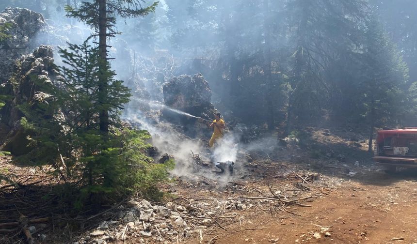 Adıyaman'da ormanlık alanda çıkan yangın ekiplerce söndürüldü