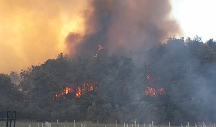 Karabük'te ormanlık alanda çıkan yangına müdahale sürüyor