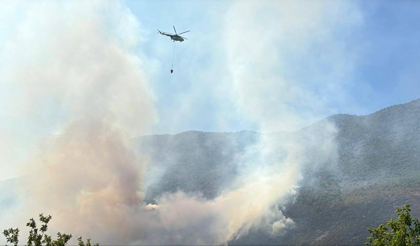Çanakkale'de çıkan yangın kontrol altına alındı
