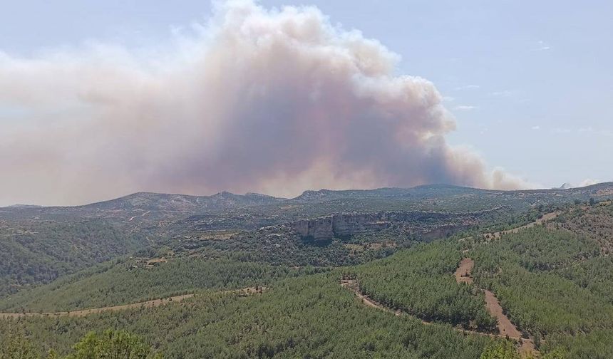 Malatya'daki orman yangınına ekiplerce müdahale ediliyor