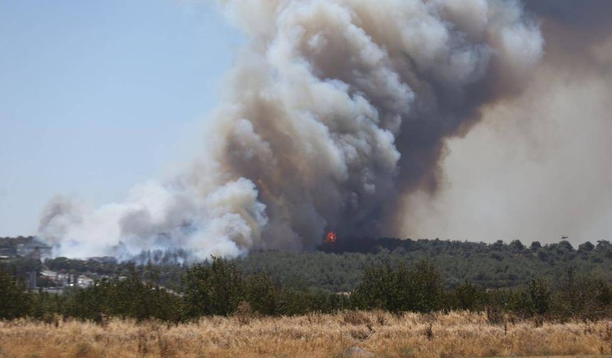 Denizli'deki yangına müdahale sürüyor