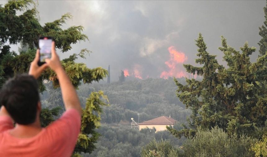 Denizli'deki orman yangınıyla ilgili 1 kişi gözaltına alındı