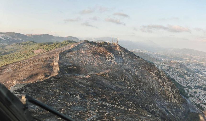Adana'da çıkan orman yangını söndürüldü