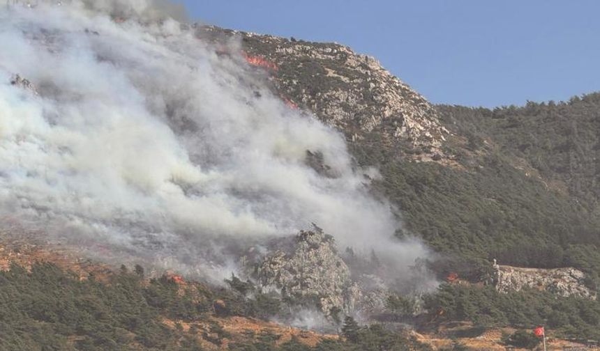 Manisa'da otluk ve makilik alanda çıkan yangın kontrol altına alındı