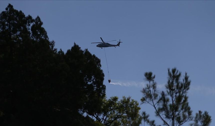 Sinop'taki orman yangınına müdahale ediliyor