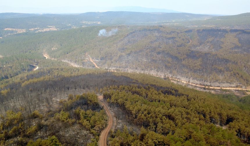 Karabük'te ormanlık alanda çıkan yangına müdahale sürüyor