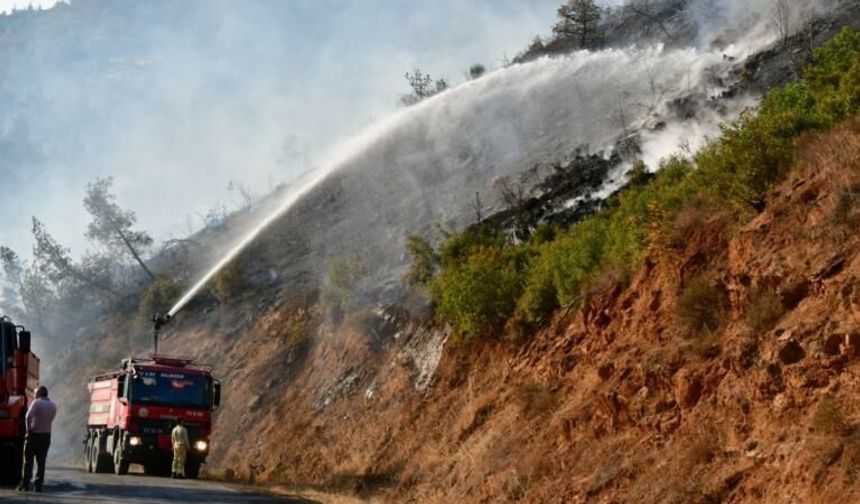 Marmaris'te ormanlık ve ekili tarım arazisinde çıkan yangın söndürüldü