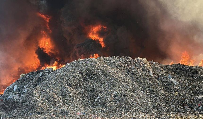 Çanakkale'de zeytinlikten ormana sıçrayan yangına müdahale ediliyor