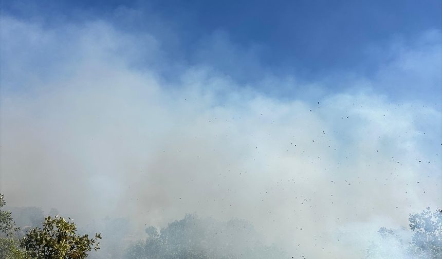 Diyarbakır'da çıkan örtü yangınına müdahale ediliyor