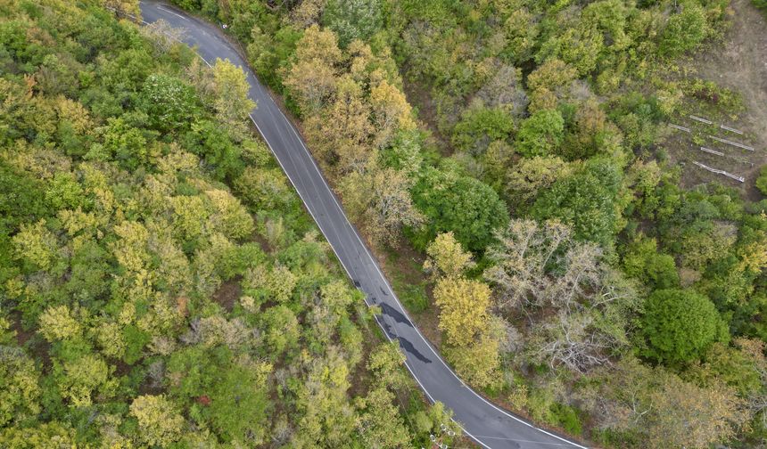 Ganos Dağı eteklerindeki ormanlar sonbahar renklerine bürünmeye başladı