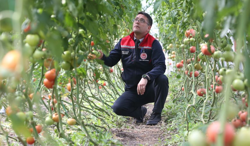 Kars'ta ziraat mühendislerinin oluşturduğu sera vatandaşlara ilham oldu