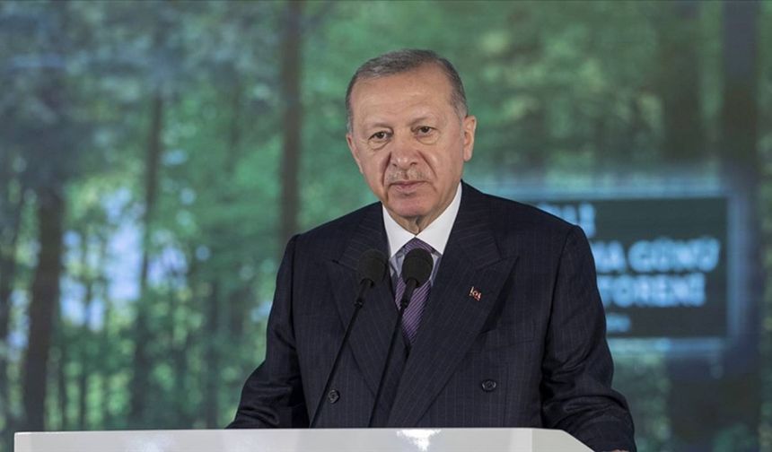 Cumhurbaşkanı Erdoğan, Katar Emiri ile bir araya geldi