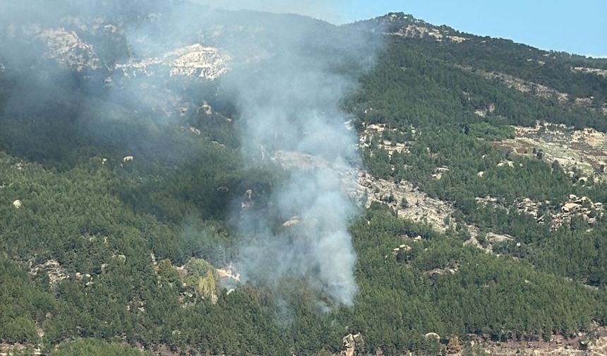 Muğla'da ormanlık alanda yangın çıktı