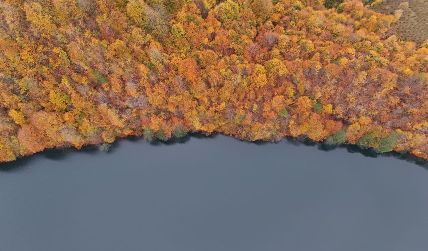 Ordu'daki Ulugöl Tabiat Parkı sonbahar renklerine büründü