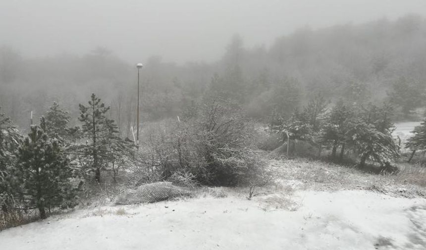 Sinop'un yüksek kesimlerine kar yağdı