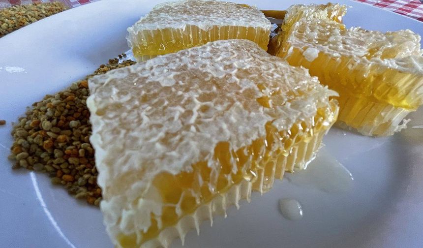 AB'den coğrafi tescil alan Yenice ıhlamur balını markalaştırma çalışmaları devam ediyor