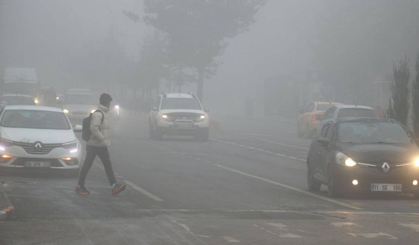 Erzurum ile Ardahan'da sis ve soğuk hava etkili oldu