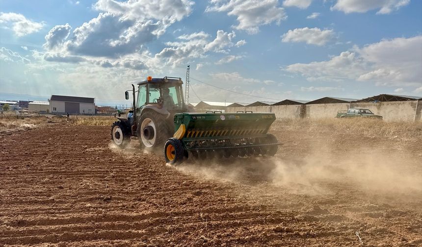 Bozkırda kuraklığa dayanıklı 25 çeşit yerli ürünün demonstrasyon ekimi yapıldı