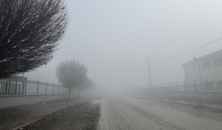 Iğdır'da sis, Kars ve Ardahan'da soğuk hava etkili oluyor