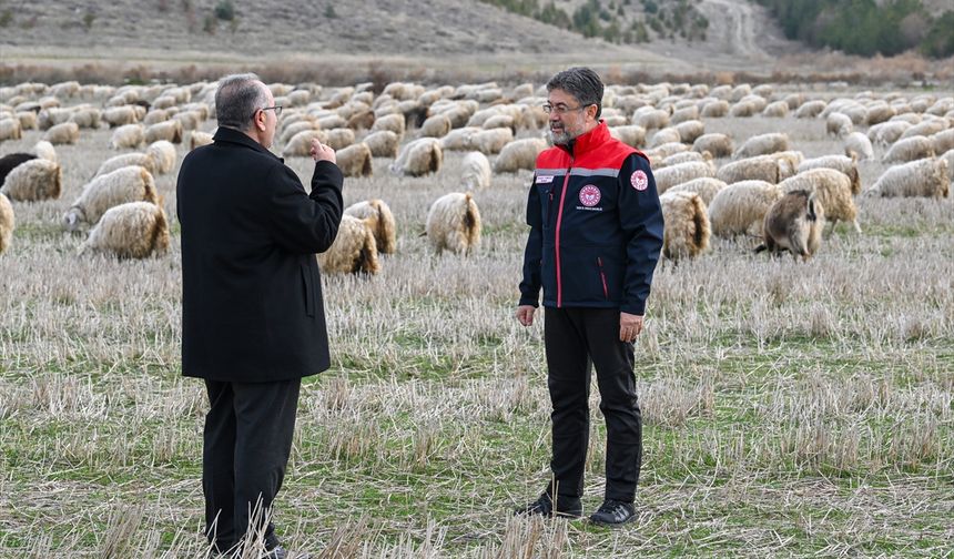 Tiftiğin ekonomiye kazandırılması için destek mekanizmaları geliştirilecek
