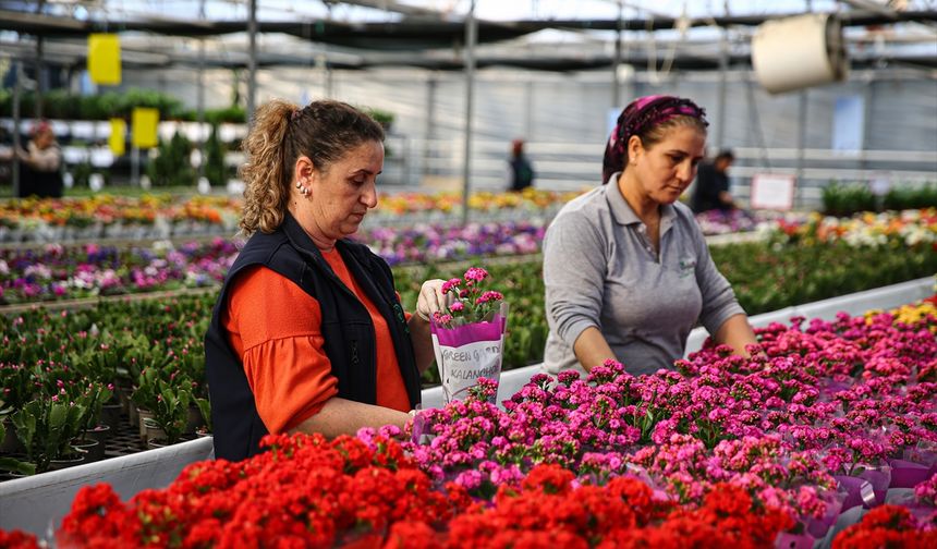 Yılbaşı öncesinde çiçekçilerde hareketlilik yaşanıyor