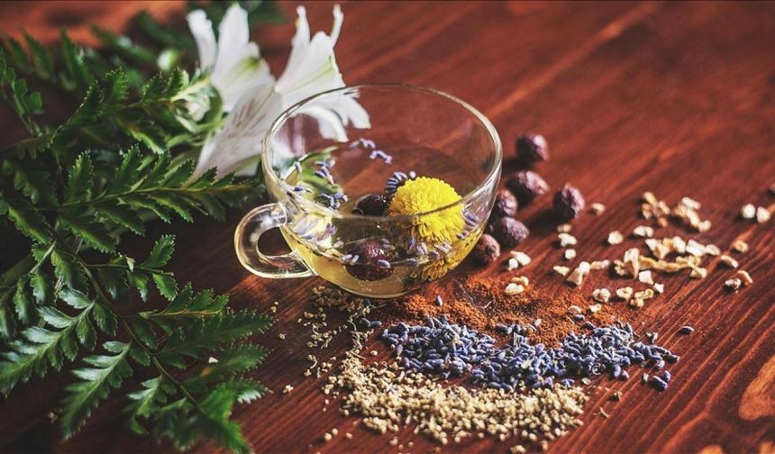 Bitki koruma ürünlerinin satışında yeni dönem