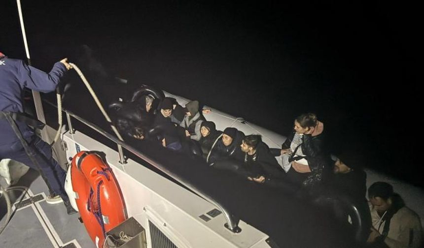 Edirne ve Kırklareli'nde 8 düzensiz göçmen yakalandı