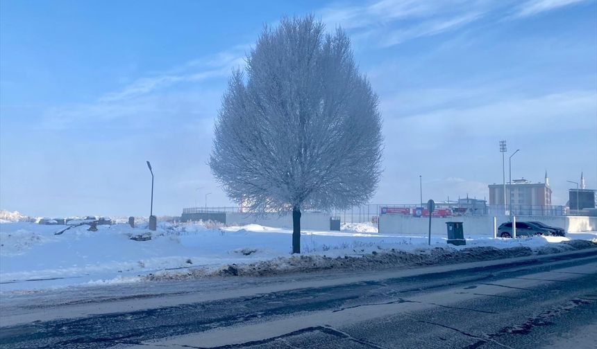 Erzurum, Ardahan ve Kars'ta dondurucu soğuklar etkili oluyor