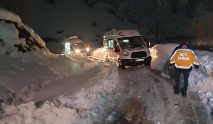 Hakkari'de sobadan sızan gazdan etkilenen 12 kişi hastaneye kaldırıldı