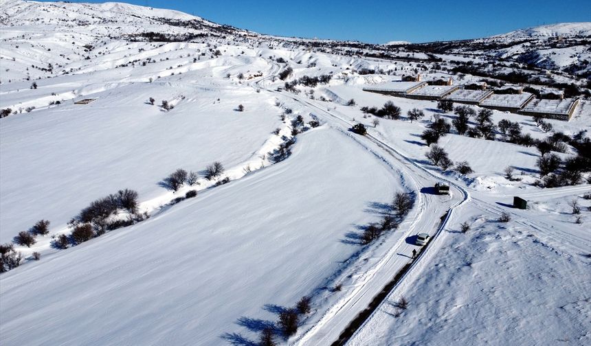 İş makinesi karlı yolları açıyor, ekipler sahipsiz hayvanları besliyor