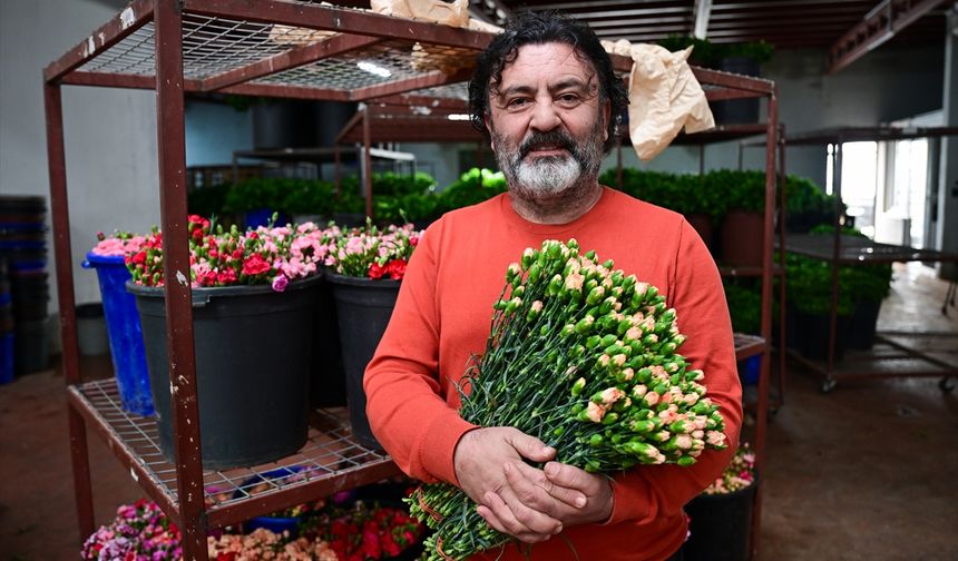 Türkiye'den 2025'te 83 ülkeye çiçek ihracatı yapıldı