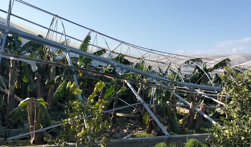 TZOB Genel Başkanı Bayraktar, hortumdan etkilenen Manavgat'ta çiftçilerle buluştu