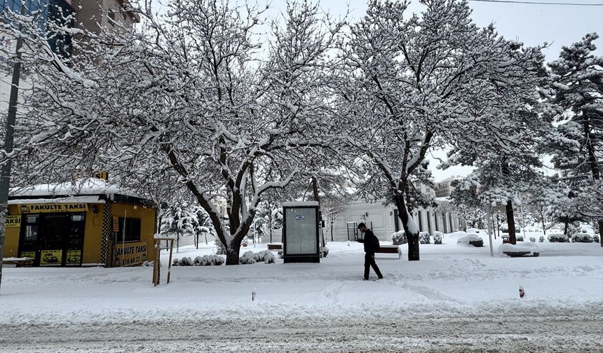 Bitlis, Muş ve Hakkari'de 1030 yerleşim yerine ulaşım sağlanamıyor