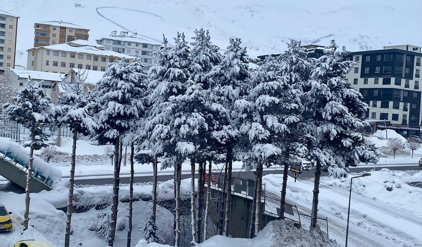 Van, Hakkari, Bitlis ve Muş'ta 1012 yerleşim yerine ulaşım sağlanamıyor