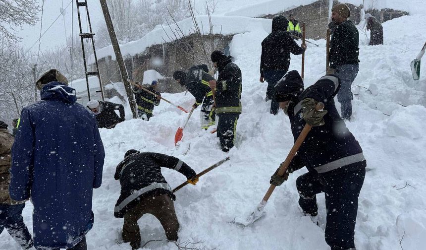 Van ve çevre illerde kar nedeniyle 320 yerleşim yerine ulaşılamıyor