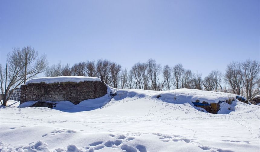 Erzurum, Ağrı ve Ardahan'da kar etkili oldu