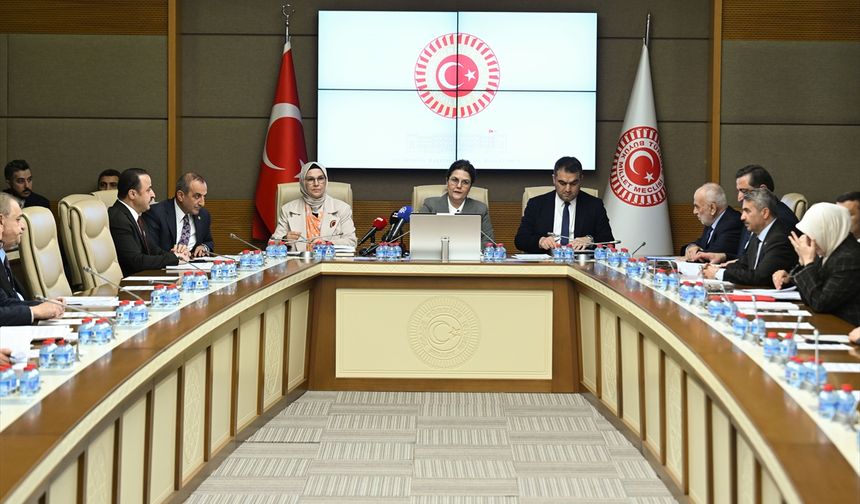 TBMM İnsan Haklarını İnceleme Komisyonu toplandı