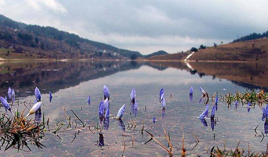 Baharın ikinci müjdecisi yolda: Cemre suya düşecek